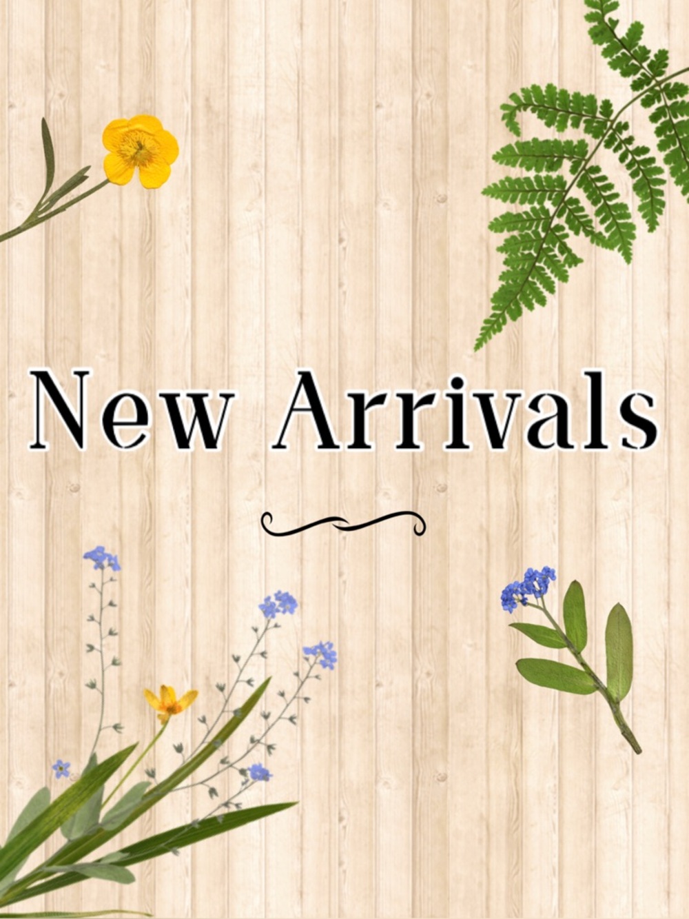 New Arrivals Here